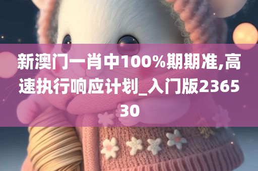 新澳门一肖中100%期期准,高速执行响应计划_入门版236530