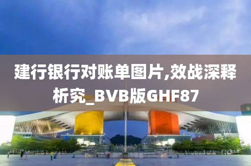 建行银行对账单图片,效战深释析究_BVB版GHF87