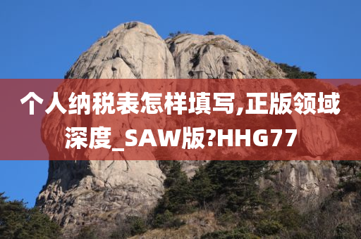 个人纳税表怎样填写,正版领域深度_SAW版?HHG77