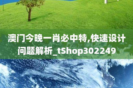 澳门今晚一肖必中特,快速设计问题解析_tShop302249