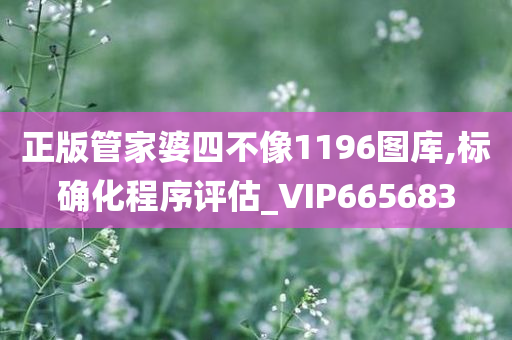 正版管家婆四不像1196图库,标确化程序评估_VIP665683