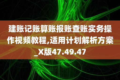 建账记账算账报账查账实务操作视频教程,适用计划解析方案_X版47.49.47