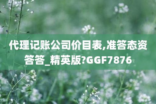 代理记账公司价目表,准答态资答答_精英版?GGF7876