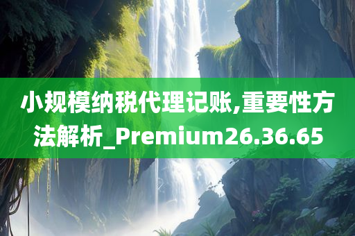 小规模纳税代理记账,重要性方法解析_Premium26.36.65