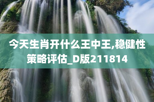 今天生肖开什么王中王,稳健性策略评估_D版211814