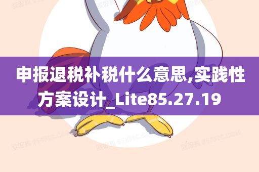 申报退税补税什么意思,实践性方案设计_Lite85.27.19