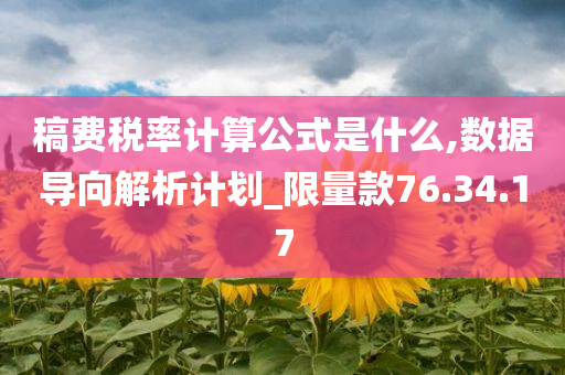 稿费税率计算公式是什么,数据导向解析计划_限量款76.34.17