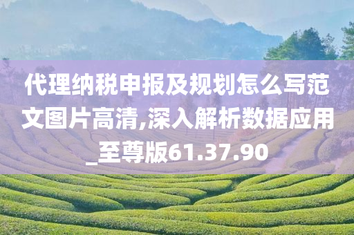 代理纳税申报及规划怎么写范文图片高清,深入解析数据应用_至尊版61.37.90