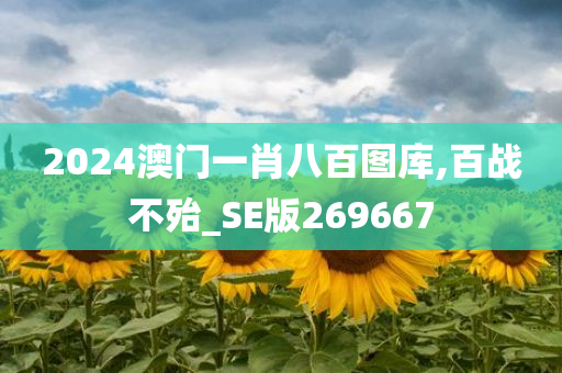 2024澳门一肖八百图库,百战不殆_SE版269667