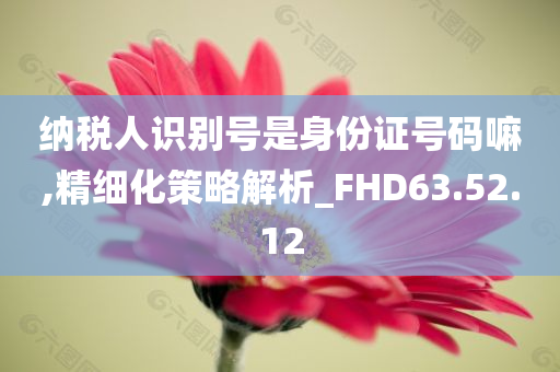 纳税人识别号是身份证号码嘛,精细化策略解析_FHD63.52.12