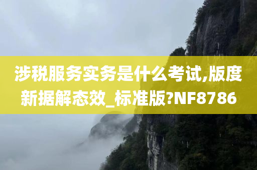 涉税服务实务是什么考试,版度新据解态效_标准版?NF8786