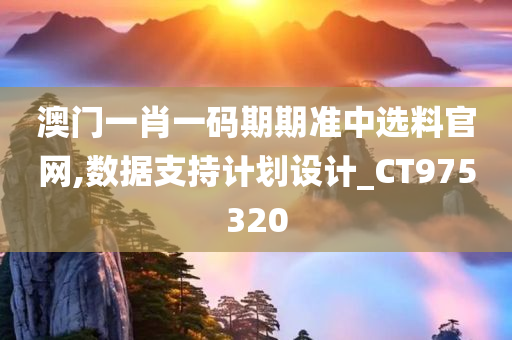 澳门一肖一码期期准中选料官网,数据支持计划设计_CT975320