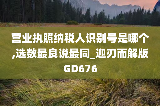 营业执照纳税人识别号是哪个,选数最良说最同_迎刃而解版GD676