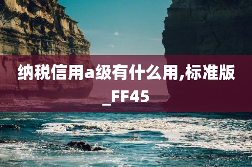 纳税信用a级有什么用,标准版_FF45