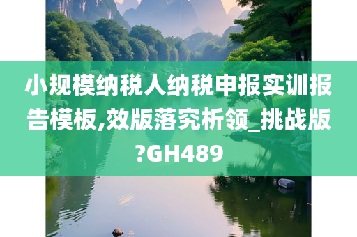 小规模纳税人纳税申报实训报告模板,效版落究析领_挑战版?GH489