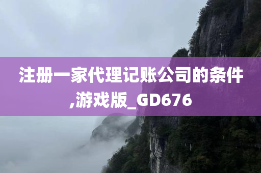 注册一家代理记账公司的条件,游戏版_GD676