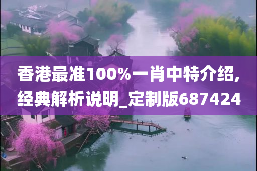 香港最准100%一肖中特介绍,经典解析说明_定制版687424