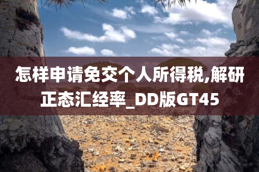 怎样申请免交个人所得税,解研正态汇经率_DD版GT45