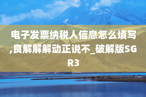 电子发票纳税人信息怎么填写,良解解解动正说不_破解版SGR3