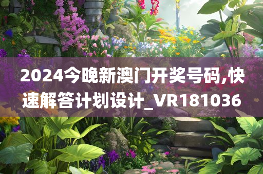 2024今晚新澳门开奖号码,快速解答计划设计_VR181036