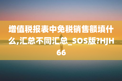 增值税报表中免税销售额填什么,汇总不同汇总_SOS版?HJH66