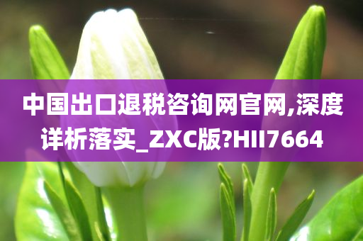 中国出口退税咨询网官网,深度详析落实_ZXC版?HII7664