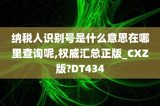 纳税人识别号是什么意思在哪里查询呢,权威汇总正版_CXZ版?DT434