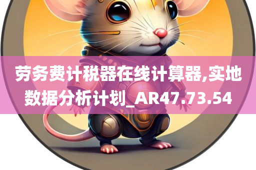 劳务费计税器在线计算器,实地数据分析计划_AR47.73.54