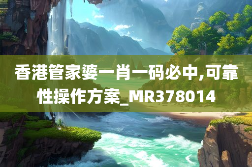 香港管家婆一肖一码必中,可靠性操作方案_MR378014