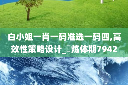 白小姐一肖一码准选一码四,高效性策略设计_‌炼体期7942