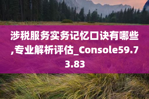 涉税服务实务记忆口诀有哪些,专业解析评估_Console59.73.83