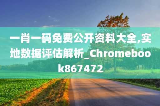 一肖一码免费公开资料大全,实地数据评估解析_Chromebook867472