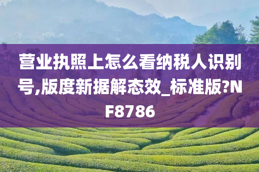 营业执照上怎么看纳税人识别号,版度新据解态效_标准版?NF8786