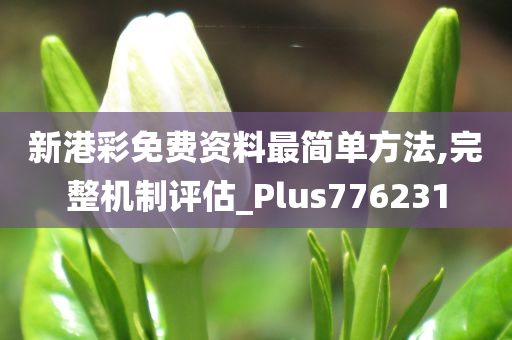 新港彩免费资料最简单方法,完整机制评估_Plus776231