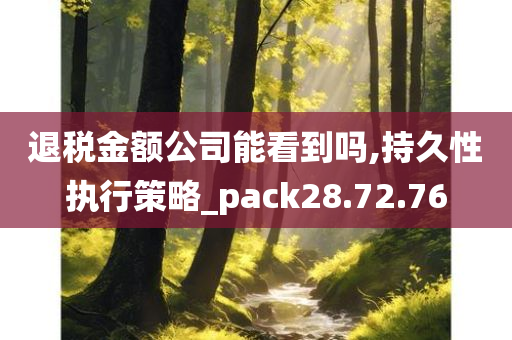 退税金额公司能看到吗,持久性执行策略_pack28.72.76