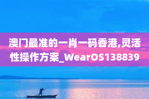 澳门最准的一肖一码香港,灵活性操作方案_WearOS138839