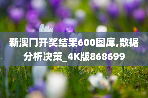 新澳冂开奖结果600图库,数据分析决策_4K版868699