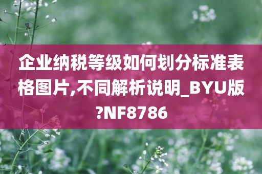 企业纳税等级如何划分标准表格图片,不同解析说明_BYU版?NF8786