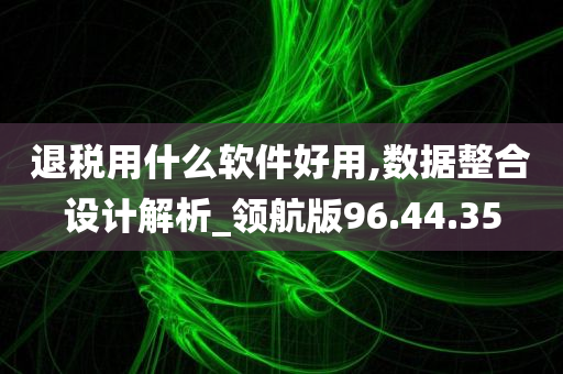 退税用什么软件好用,数据整合设计解析_领航版96.44.35