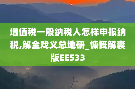 增值税一般纳税人怎样申报纳税,解全戏义总地研_慷慨解囊版EE533