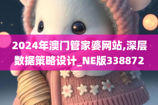 2024年澳门管家婆网站,深层数据策略设计_NE版338872