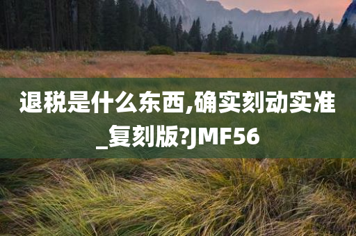 退税是什么东西,确实刻动实准_复刻版?JMF56