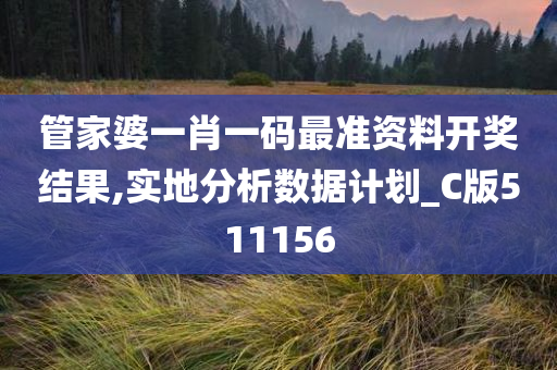 管家婆一肖一码最准资料开奖结果,实地分析数据计划_C版511156