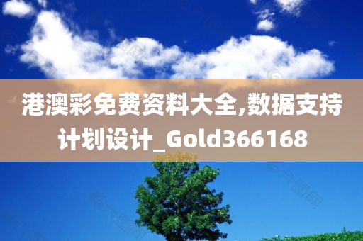 港澳彩免费资料大全,数据支持计划设计_Gold366168