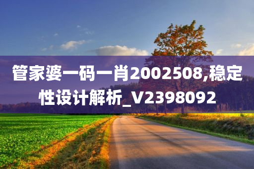 管家婆一码一肖2002508,稳定性设计解析_V2398092