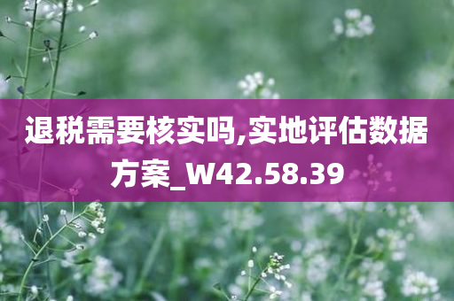 退税需要核实吗,实地评估数据方案_W42.58.39