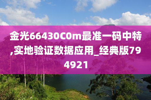 金光66430C0m最准一码中特,实地验证数据应用_经典版794921