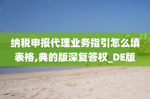 纳税申报代理业务指引怎么填表格,典的版深复答权_DE版