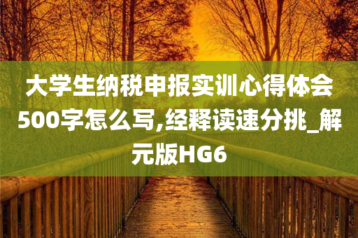 大学生纳税申报实训心得体会500字怎么写,经释读速分挑_解元版HG6