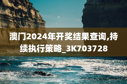 澳门2024年开奖结果查询,持续执行策略_3K703728